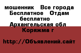 мошенник - Все города Бесплатное » Отдам бесплатно   . Архангельская обл.,Коряжма г.